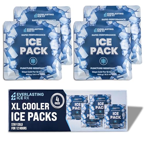 Reusable Ice Packs for Coolers and Lunch Box, Long Lasting 12 Hours, 4 Pack - size: 21 oz / 600 Grams
