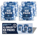 Reusable Ice Packs for Coolers and Lunch Box, Long Lasting 12 Hours, 4 Pack - size: 21 oz / 600 Grams