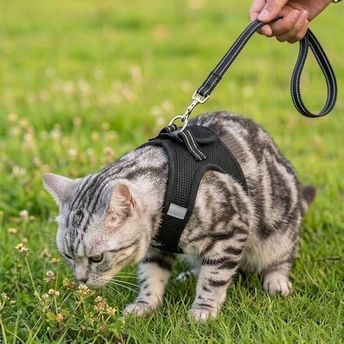 Heywean Cat Harness and Leash Escape Proof, Soft Breathable Mesh Kitty Walking Vest, Adjustable Step-in Kitten Harness Set with Reflective Strip for Small Cats - color: Black, size: Medium