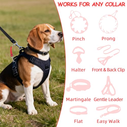 YUEPET Dog Safety Collar Clips 2 Pack Adjustable Prong Collar Backup Clips - color: Red+Blue