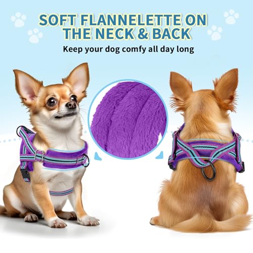 SlowTon No Pull Small Dog Harness and Leash Set with Front Clip - color: Purple, size: X-Small