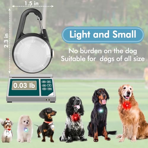 4 Modes Dog Collar Light，2 Packs IP68 Waterproof Dog Lights for Night Walking, USB Rechargeable Pet LED for Nighttime Clip on (Black)