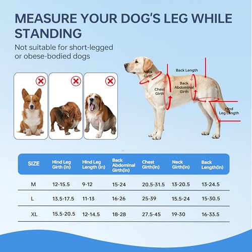 Kolmmeo Dog Knee Brace for Back Leg - Adjustable Breathable Canine Leg Wrap with Hot & Cold Gel Packs - Supports Large & Medium Dogs with Arthritis, Hip Dysplasia, ACL Injuries, Right Hind Leg (L)