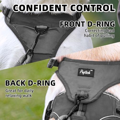 PUPTECK Escape Proof Dog Harness and Leash Set Upgraded No Pull Reflective Dog Vest with Lift Handle, Easy Control Pet Harness for Medium Large Dogs Training Walking Running - color: Grey/Black, size: Large