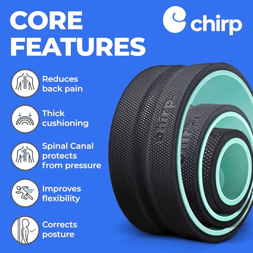 Chirp Wheel+ Foam Roller 3-Pack, Back & Neck Pain Relief, Mint - size: 3 Pack
