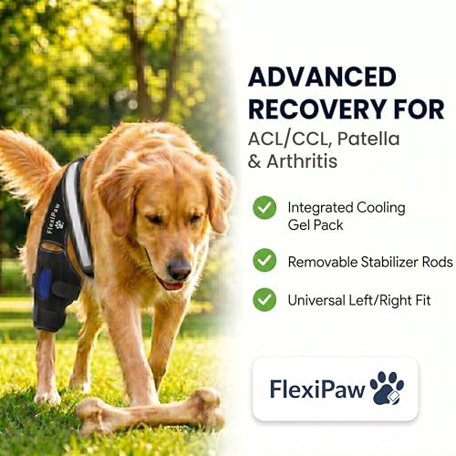 Dog Knee Brace for Torn ACL and CCL, Rear Hind Leg Brace for Dogs, Back Leg Support for Cruciate Ligament Tears, Cold Therapy Gel Pack, Removable Stabilizer Rods, Torso Strap, XL - size: Extra Large