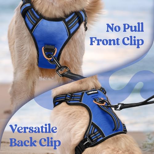rabbitgoo Large Dog Harness, Easy Wear with 3 Buckles and Lift Handle - color: Blue, size: Medium