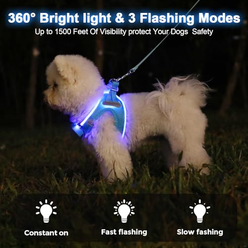 Light Up Dog Harness, Rechargeable LED Dog Harness for Small Medium Dogs - color: Blue, size: M