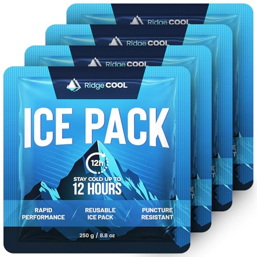 4 Pack Large Reusable Ice Packs for Coolers, Long Lasting Freezer Packs for Cooler Bags and Insulated Totes, Leakproof, BPA-Free, Food Safe - size: 4-Pack / 250g Each