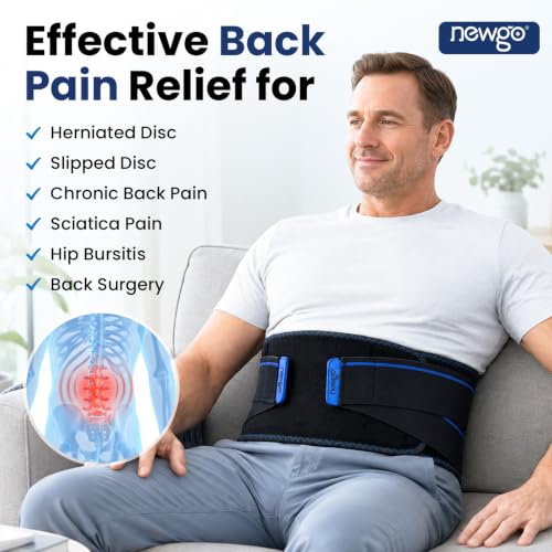 NEWGO Ice Pack for Lower Back Pain Relief, 2 Hours Long-Lasting - size: Ice Cube Pack
