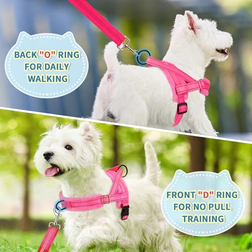 Lukovee Small Dog Harness and Leash Set, No Pull Soft Padded, 4ft Leash, M - color: B-pink, size: M ( Chest 19.7'' ~ 29.1'')