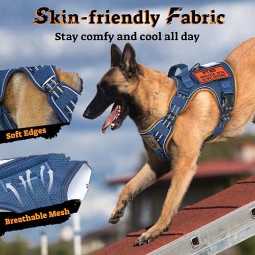 rabbitgoo Tactical Dog Harness Medium Sized, No Pull Service Pet Vest - color: Blue, size: M(chest:20.1"-33.9",neck:17.7"-22.3",back:7.5")