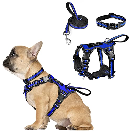 WINSEE Pet Harness Collar and Leash Set, All-in-one Reflective Dog Harness No Pull with Adjustable Buckles for Puppies, Small, Medium, Large, and Extra-Large Dogs (Small, Dark Blue) - color: Dark Blue, size: Small