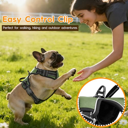 No Pull Dog Harness, No-Choke Soft Padded Reflective Dog Vest Harness with Front Clip & Top Handle, 2 Quick-Release Buckles, Adjustable for Small Medium Large Dogs - color: Army Green, size: X-Small