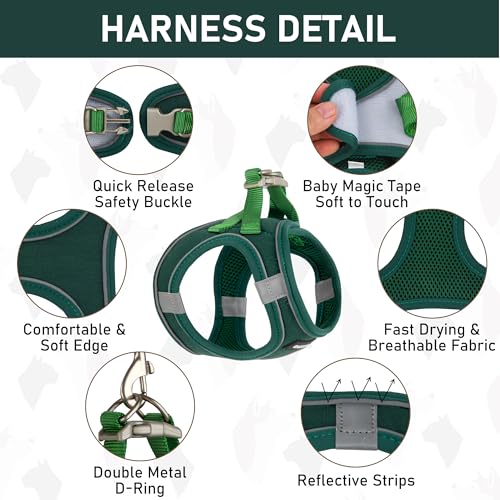 GAMUDA Small Pet Harness Collar and Leash Set, Step in No Chock No Pull Linen Fabric Soft Mesh Dog Vest Harnesses Reflective for Dogs Puppy Cats Kitten Rabbit (Green, XXS) - color: Green, size: XXS
