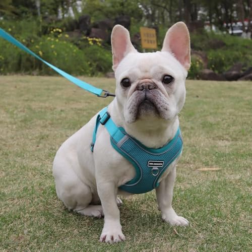 Dog Harness and Leash Set, Adjustable Triangle, Reflective Adjustable Puppy Vest, No Pull Soft Mesh Harness for Small, Medium Dogs, Cats (Turquoise, L) - color: Turquoise, size: L