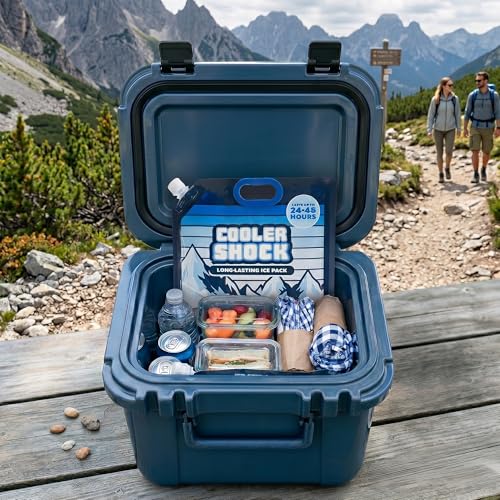 Cooler Shock Reusable Ice Packs for Cooler - Long Lasting Cold Freezer Packs for Coolers and Lunch Boxes - Cooler Ice Packs for Camping Gear, Fishing, Road Trips, Beach Must Haves - style: Medium - 4pk