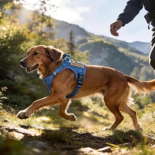 rabbitgoo Tactical Dog Harness for Small Dogs, No Pull Service Pet Vest - color: Blue, size: S(Chest:16.1"-31.5",Neck:15.4"-21.6",Back:7.1")