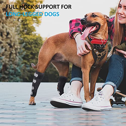 Dog Leg Braces for Back Legs,ACL Brace for Large Dogs Rear Legs, Joint Compression Warps Support for Hind Leg with Injury Sprain, Wound Care and Loss of Stability from Arthritis (1 Pair) - size: Large（1Pair）