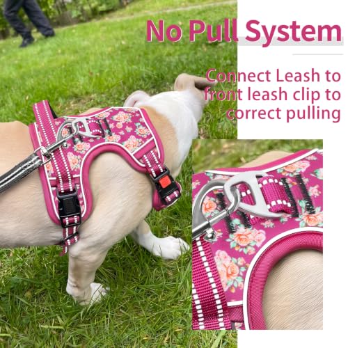 HEELE Dog Harness, No Pull, No Choke Vest, Easy On & Off, Flower Rose, S - color: Flower Rose, size: S (Pack of 1)