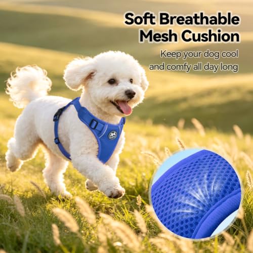 PoyPet Mesh Dog Harness, Reflective Breathable Puppy Vest for Small Dogs - color: Royal Blue, size: XS