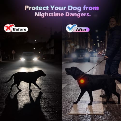 NOVKIN 2 Pack LED Dog Collar Light, 7-Color Changing USB Rechargeable Dog Night Lights for Walking, Waterproof High Visibility Clip on Safety Light for Dog Collars, Harnesses & Leashes