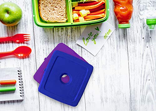 Healthy Packers Ice Packs for Lunch Boxes, Long Lasting Reusable 5pk Square - color: 5-Pack (Square)