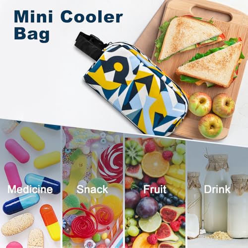 Remobia Hicol Freezable Snack Box with Built-in Ice Packs,Small Insulated Cooler Bag, Freezer Lunch Bag,Zip Closure & Buckle Handle, Easy-Clean for Travel(Geometry) - color: Geometry