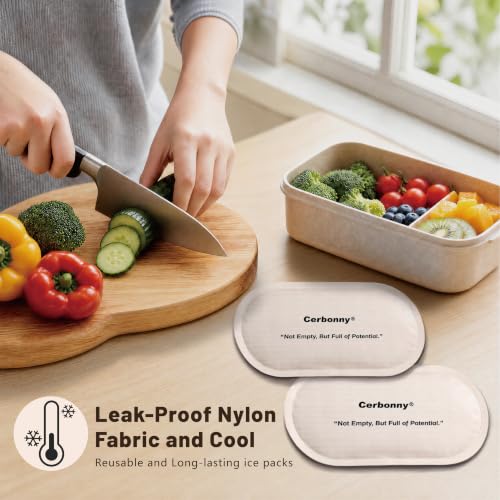 Cerbonny Slim Ice Packs for Lunch Boxes, Reusable, 2 Pack, Pure Beige - color: Beige