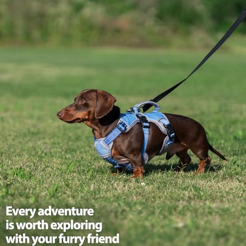 Huntboo Escape Proof Dog Harness, Dachshund Harness, Reflective Dog Harness with Handle, Durable,Adjustable Vest for Small Medium Large Dogs Walking, Training, and Running Gear (Sea Blue,S) - color: Sea Blue, size: Small(Pack of 1)