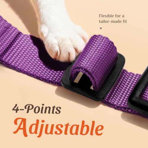 Dooradar Cat Harness and Leash Set, Adjustable and Escape Proof, XXS - color: Argyle Purple, size: Xxs