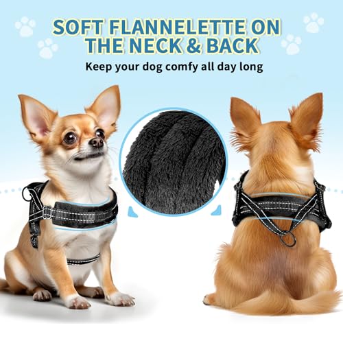 SlowTon No Pull Small Dog Harness and Leash Set with Front Clip - color: Black, size: Small