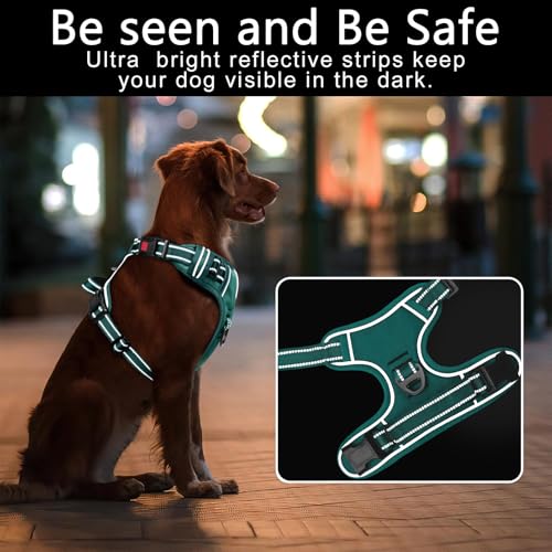 HEELE Dog Harness, Soft Padded, Front Clip Vest with Control Handle Grass S - color: Lock Grass Green, size: S (Pack of 1)