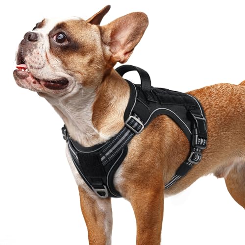 rabbitgoo Tactical Dog Harness for Small Dogs, No Pull Service Pet Vest - color: Black, size: S(Chest:16.1"-31.5",Neck:15.4"-21.6",Back:7.1")