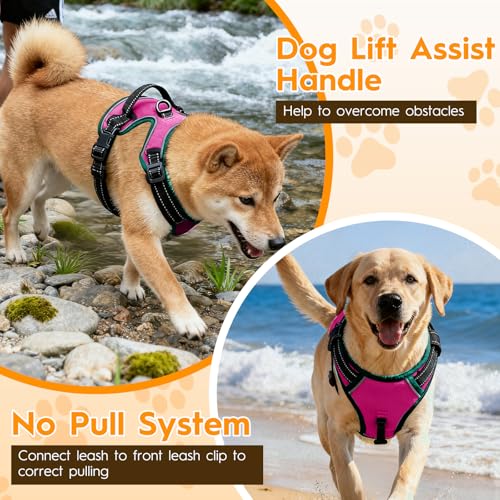No Pull Dog Harness, No-Choke Soft Padded Reflective Dog Vest Harness with Front Clip & Top Handle, 2 Quick-Release Buckles, Adjustable for Small Medium Large Dogs - color: Pink/Turquoise, size: X-Small