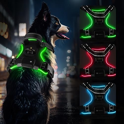 MASBRILL Light Up Dog Harness - No Pull Led Dog Harness Rechargeable Adjustable Lighted Dog Vest Harness for Small Medium Large Dogs - color: Black-Green, size: XL