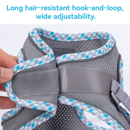 Petank Step in Dog Harness No Pull and Leash for Small Medium Dogs Cats. - color: Grey, size: XXS