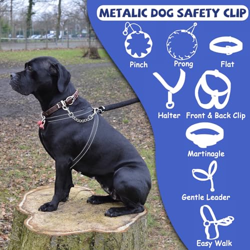 YUEPET 2 Pack 8.3 in Dog Collar Safety Clips, Stainless Steel Backup Clip - color: Stainless Steel*2