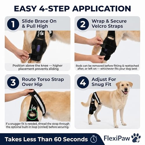 Dog Knee Brace for Torn ACL and CCL, Rear Hind Leg Brace for Dogs, Back Leg Support for Cruciate Ligament Tears, Cold Therapy Gel Pack, Removable Stabilizer Rods, Torso Strap, XL - size: Extra Large