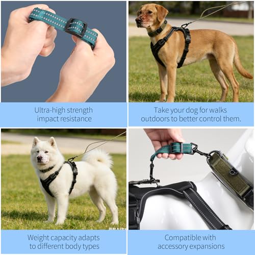 Prong Collar Safety Clip, Double Ended Dog Collar Safety Clip, Green