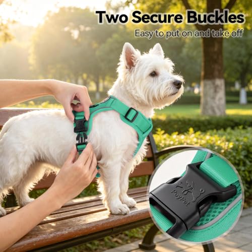 PoyPet Mesh Dog Harness, Reflective Breathable Puppy Vest for Small Dogs - color: Mint Green, size: S