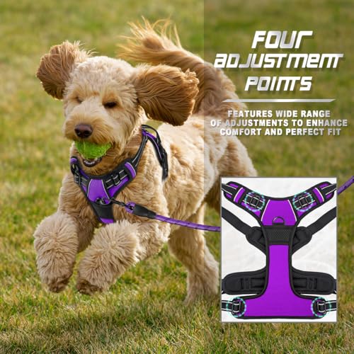 BARKBAY Dog Harness No Pull for Small Sized Dog Front Back Clips,Dog Vest - color: Purple, size: X-Small(Chest:15.5-19.5”)