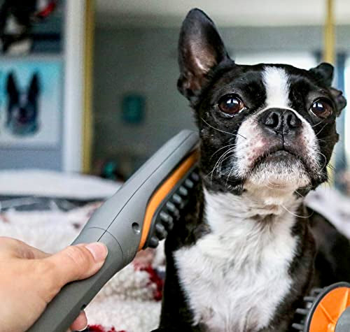 PAW WAVE Buzz Therapeutic Brush Vibration Pet Massager for Dogs and Cats Designed to Help Soothe Tension, Increase Circulation and Relieve Tight Muscles