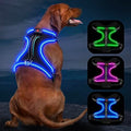 Light Up Dog Harness, Rechargeable LED Dog Vest for Night Walking - color: Black-Blue, size: M
