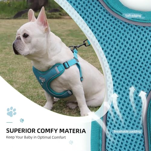 Dog Harness and Leash Set, Adjustable Triangle, Reflective Adjustable Puppy Vest, No Pull Soft Mesh Harness for Small, Medium Dogs, Cats (Turquoise, L) - color: Turquoise, size: L