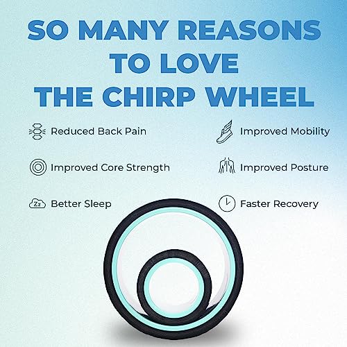 Chirp Wheel+ Foam Roller 2-Pack, Back & Neck Pain Relief, Mint - size: 2 Pack