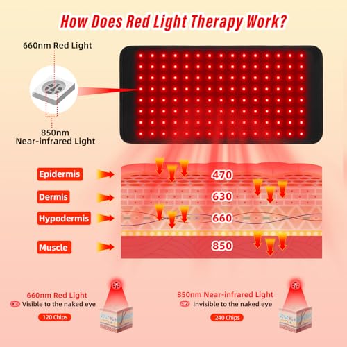 Red Light Therapy for Body, 3-in-1 660nm 850nm Infrared Pad Belt