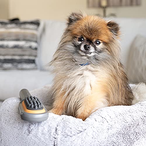 PAW WAVE Buzz Therapeutic Brush Vibration Pet Massager for Dogs and Cats Designed to Help Soothe Tension, Increase Circulation and Relieve Tight Muscles