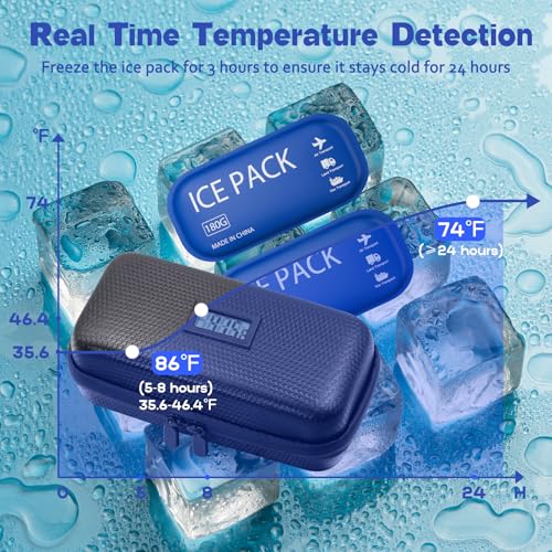 Insulin Cooler Travel Case TSA Approved Diabetic Care Medicine Cooling Bag - color: Black