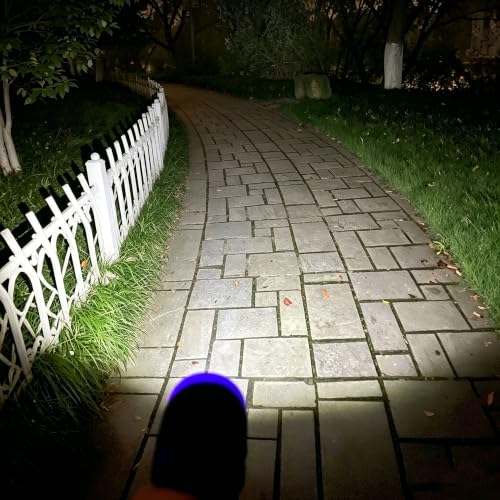10-Pack Mini LED Flashlight Set